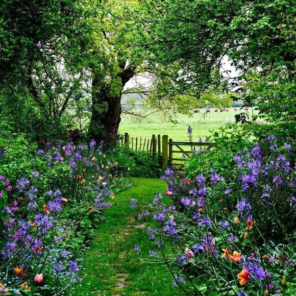 Meet your Posher - Picture 1 of 1